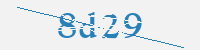 보안문자